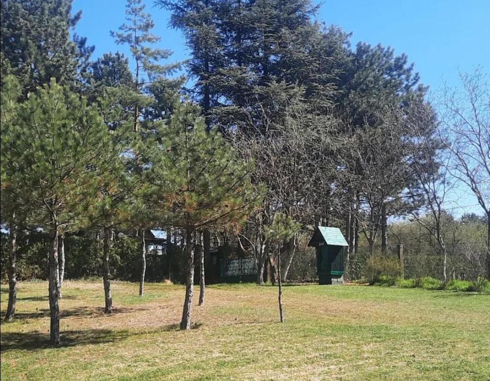 Photo 46