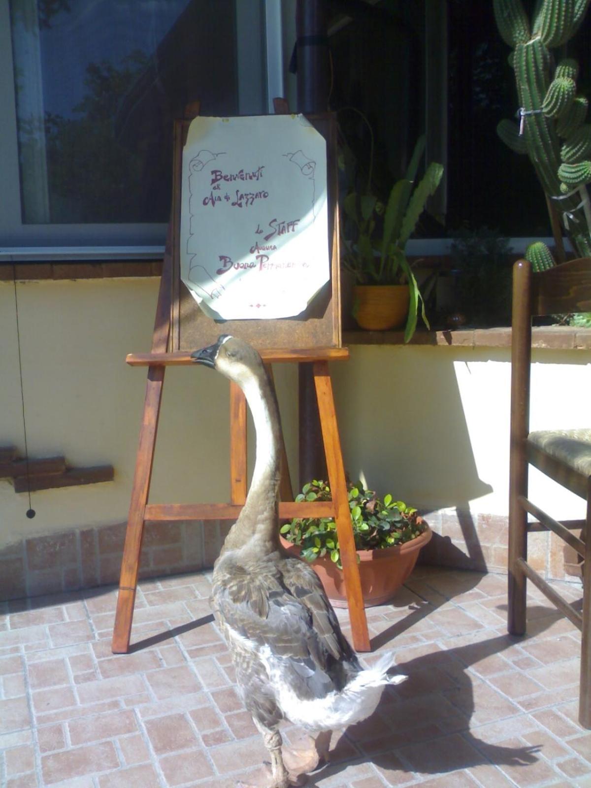 Aia di Lazzaro Agriturismo