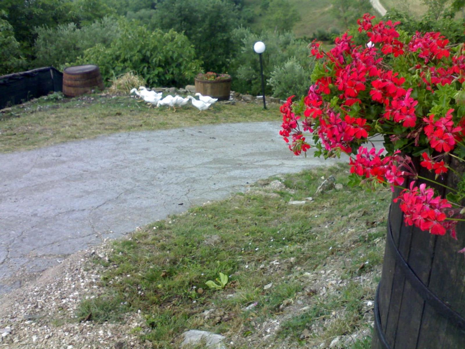 Aia di Lazzaro Agriturismo
