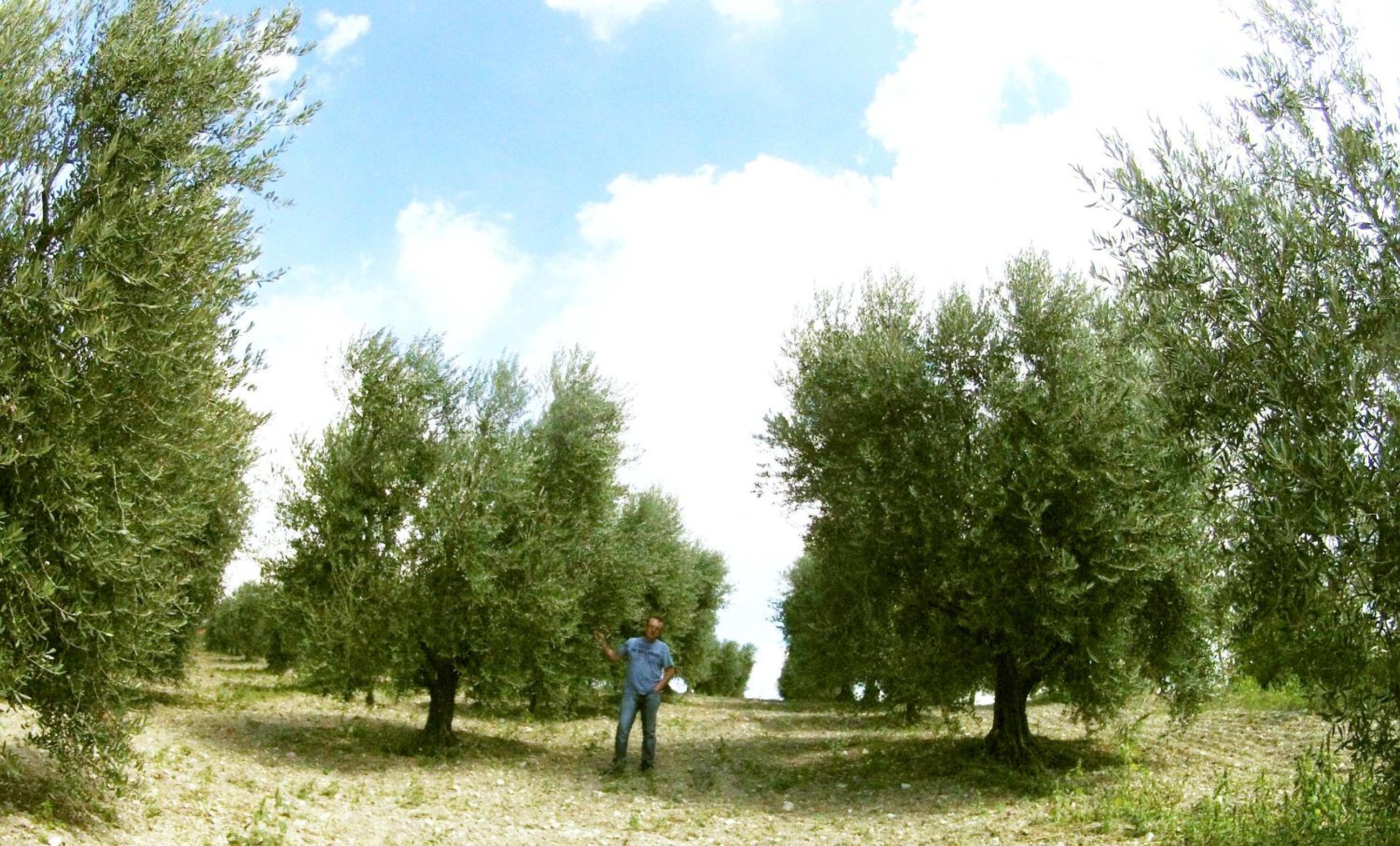 Aia di Lazzaro Agriturismo