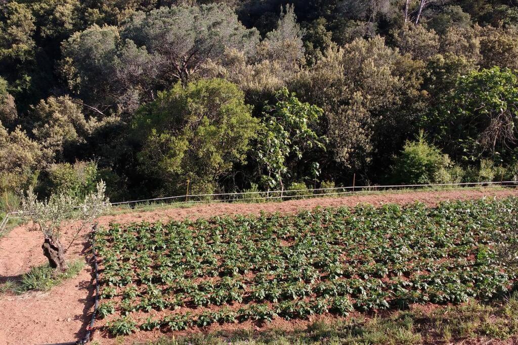 Cottage Eco-Friendly Barcelona country side