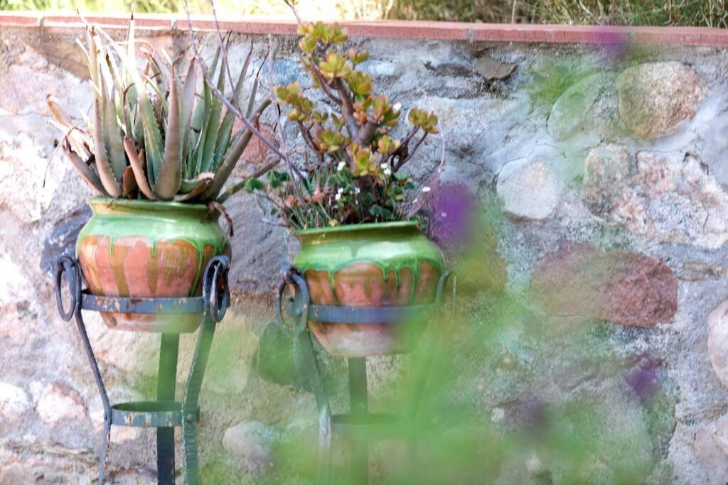 Cottage Eco-Friendly Barcelona country side
