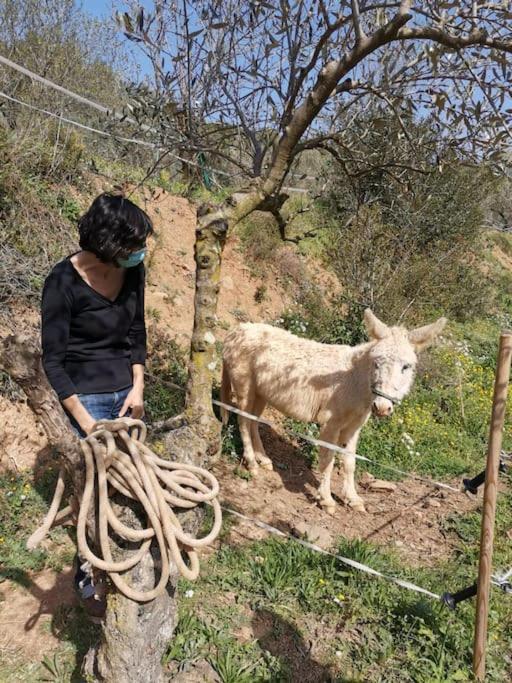 Cottage Eco-Friendly Barcelona country side