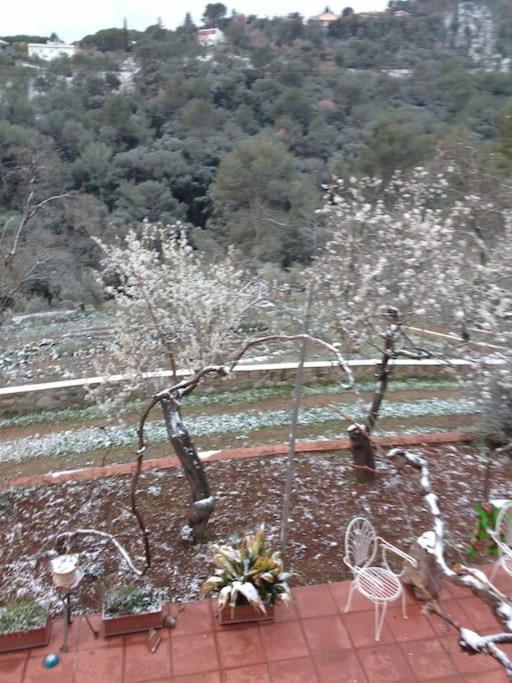 Cottage Eco-Friendly Barcelona country side