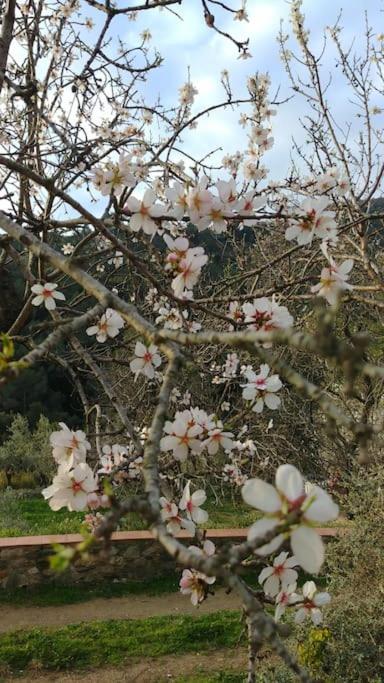 Cottage Eco-Friendly Barcelona country side