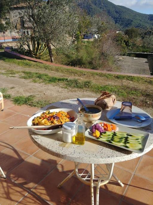 Cottage Eco-Friendly Barcelona country side