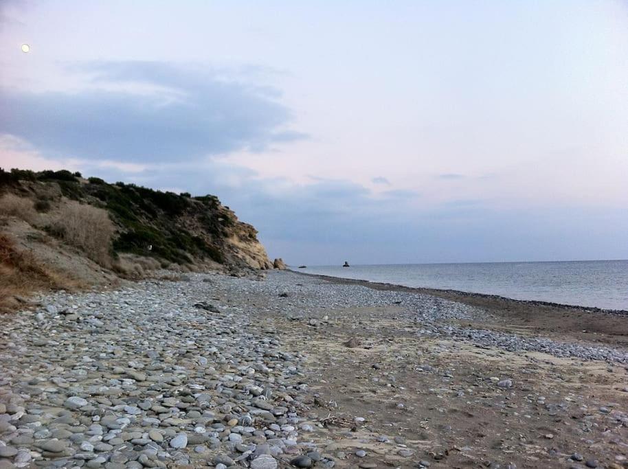 Photo 47