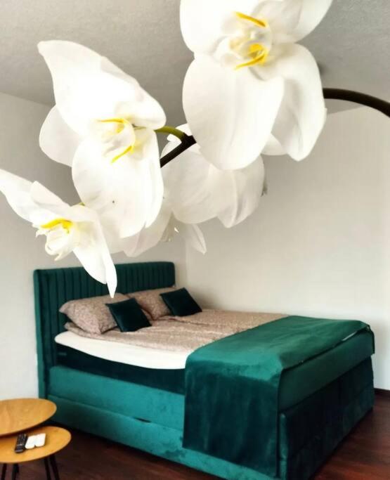 Zeid City Center Apartment