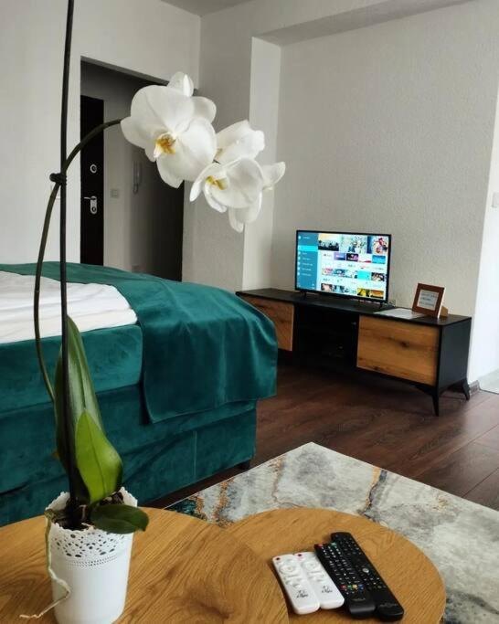 Zeid City Center Apartment