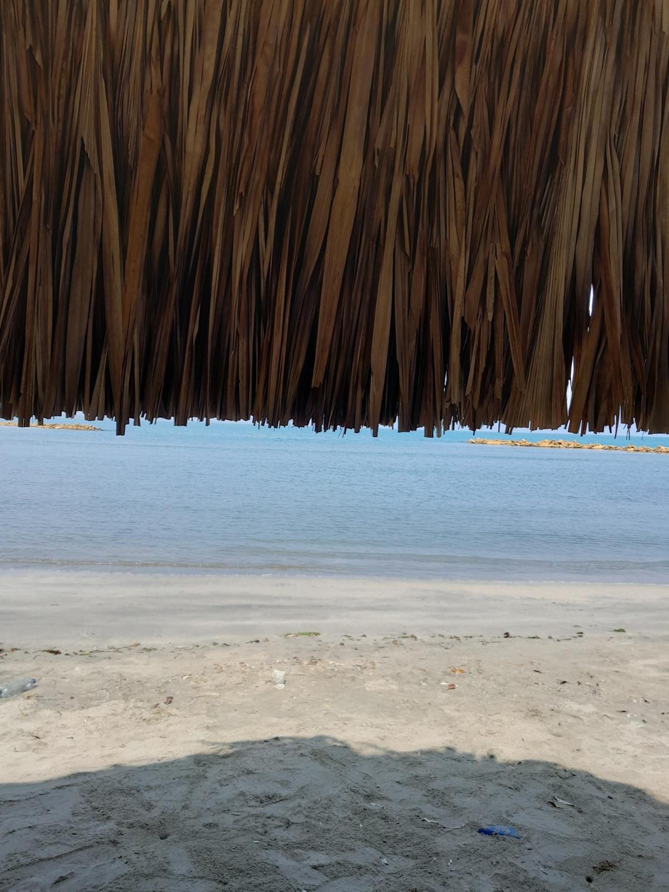 PLAYA MAG