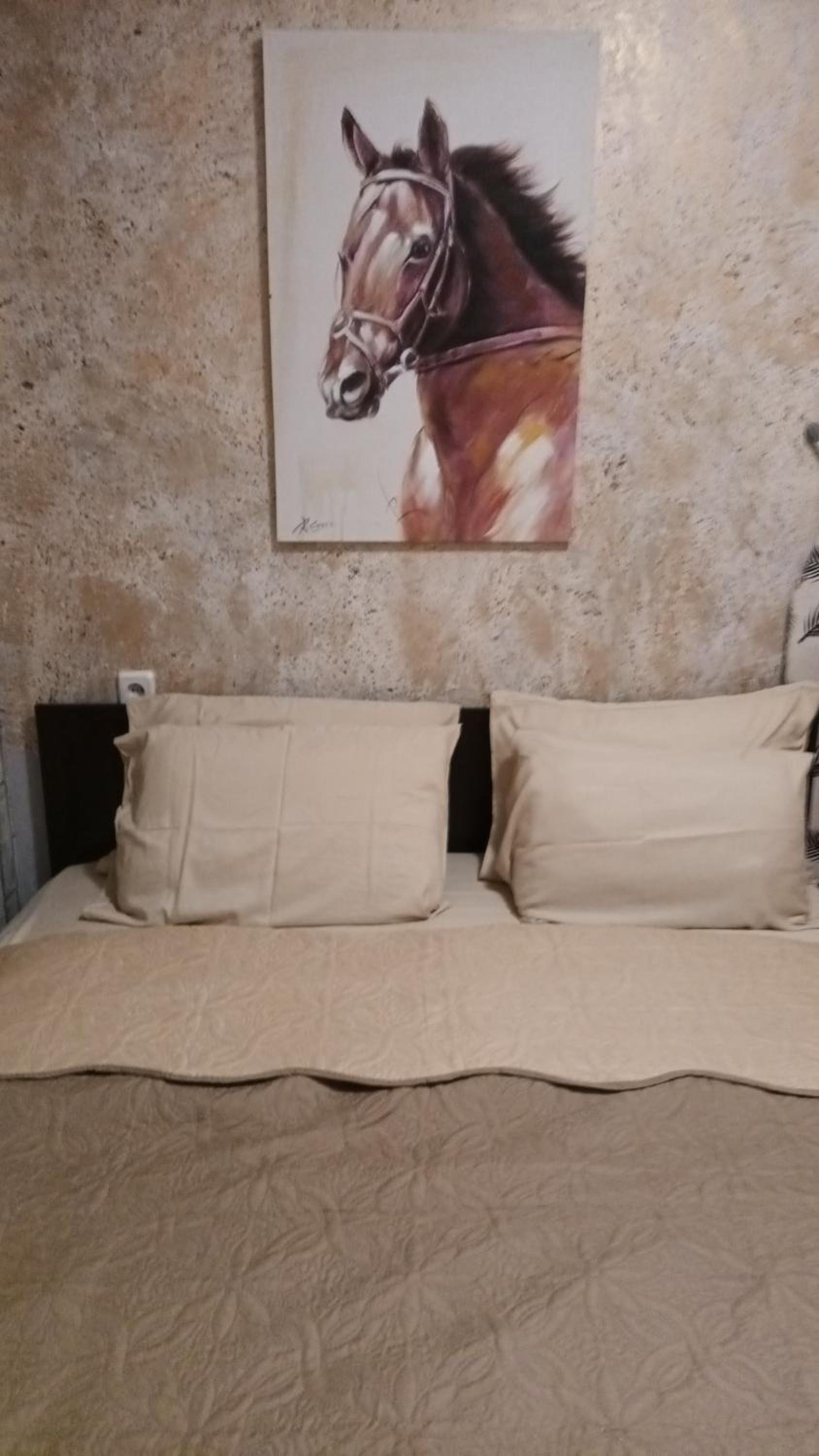 APARTAMENT-DAMO