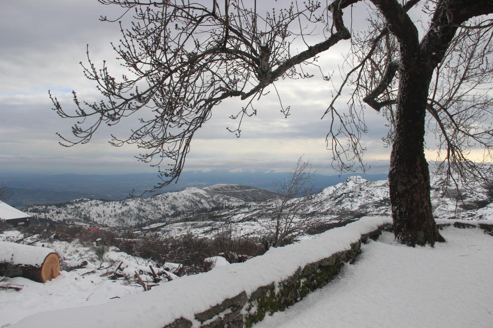 Primor Serra AL 2 view 2