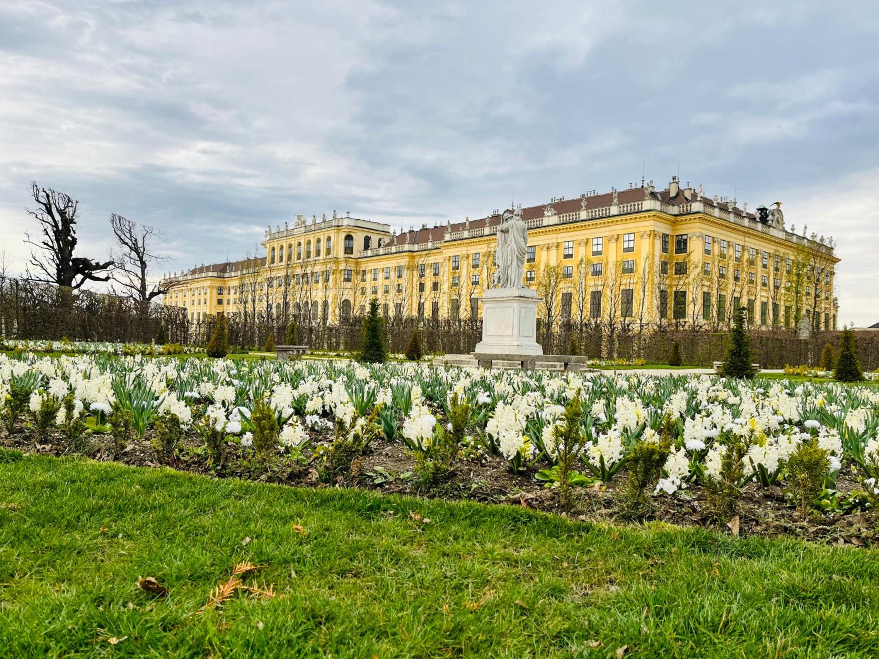Lovely nest! Just beside SCHÖNBRUNN PALACE and ZOO!