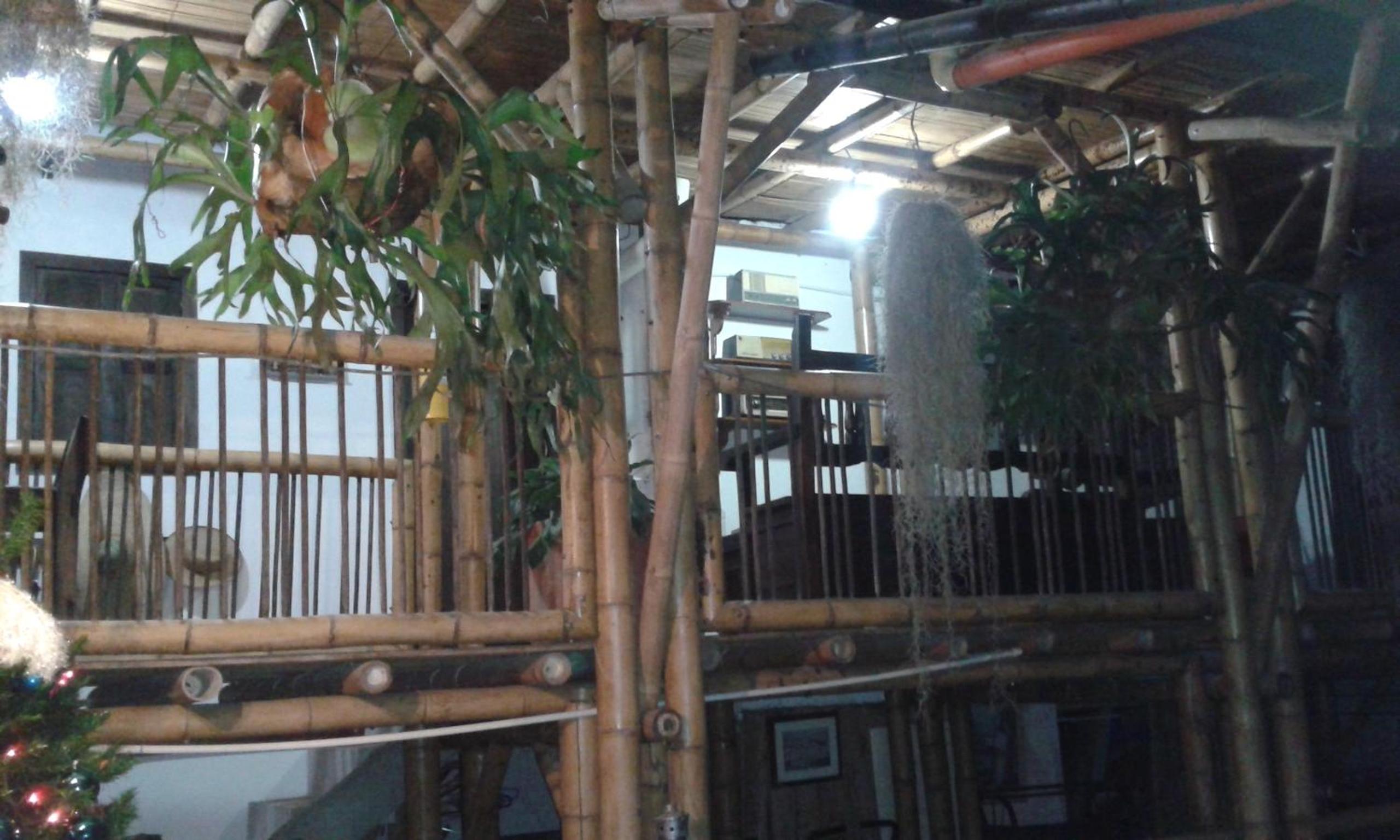 Hostel Camelot Salento