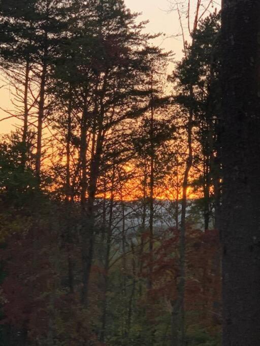 Whispering Sunset