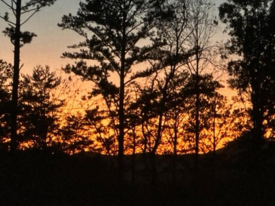 Whispering Sunset