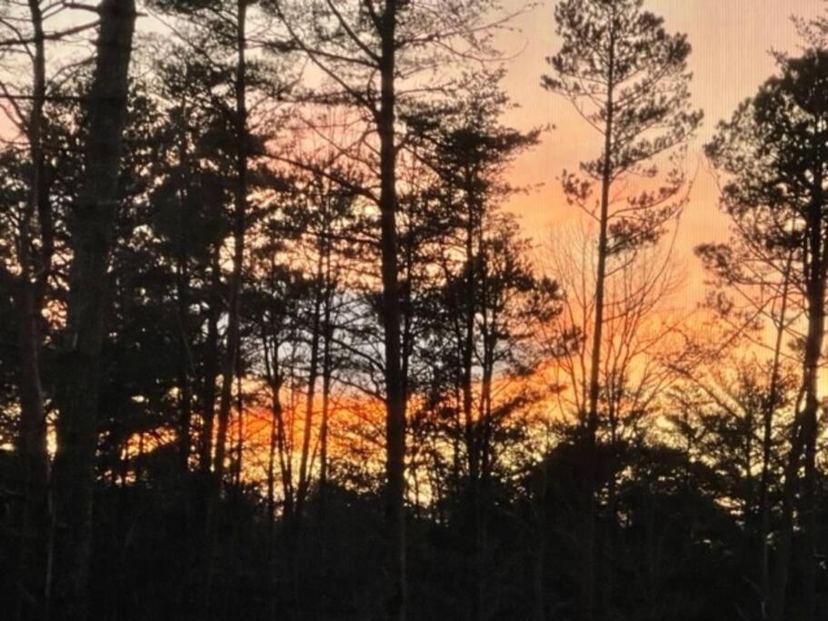 Whispering Sunset