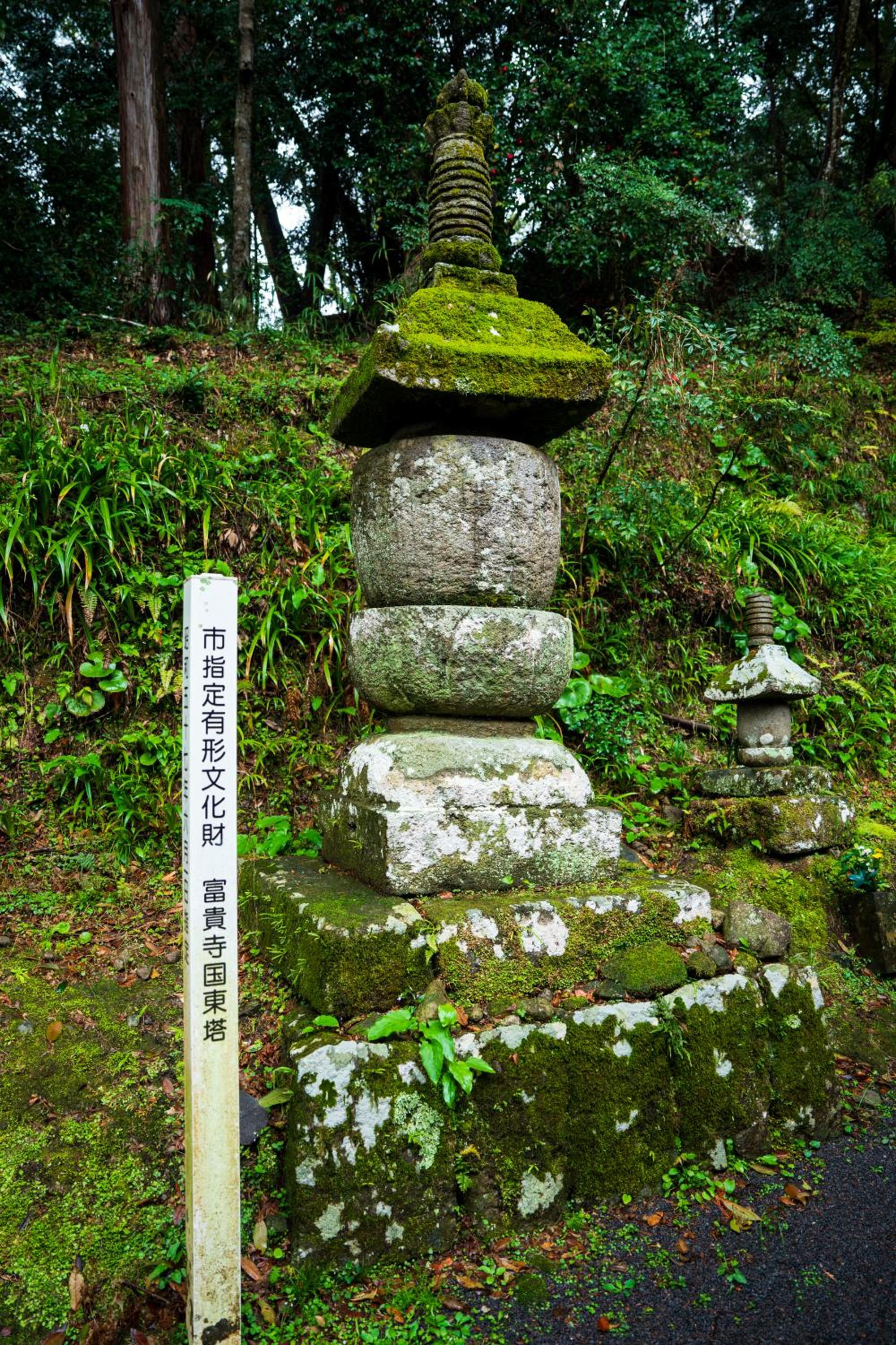 Photo 38