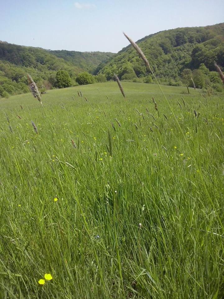 Photo 27