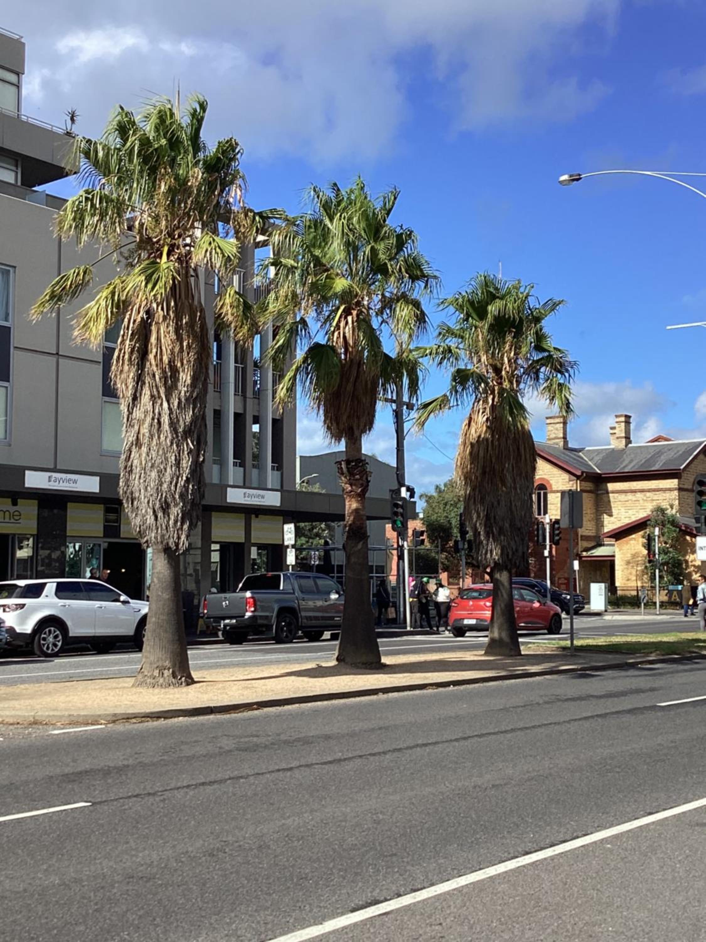 In the Heart of Port Melbourne