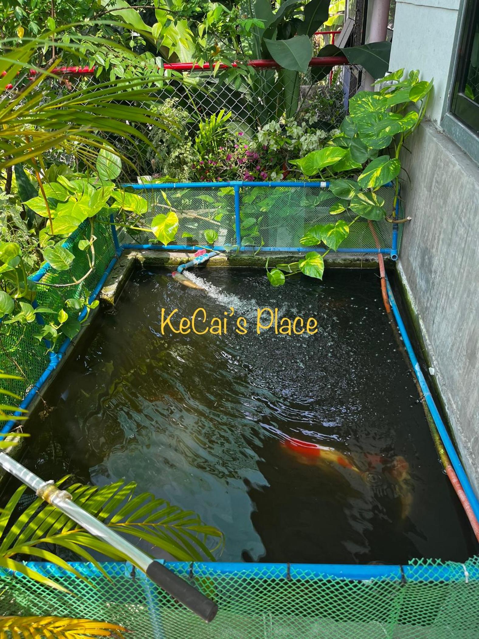 KeCai’s Place