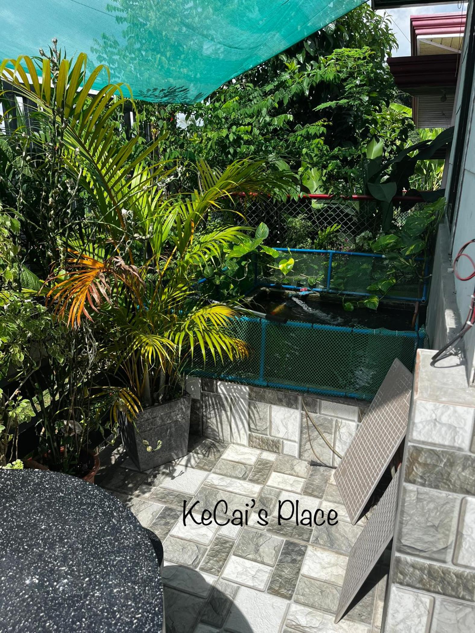 KeCai’s Place