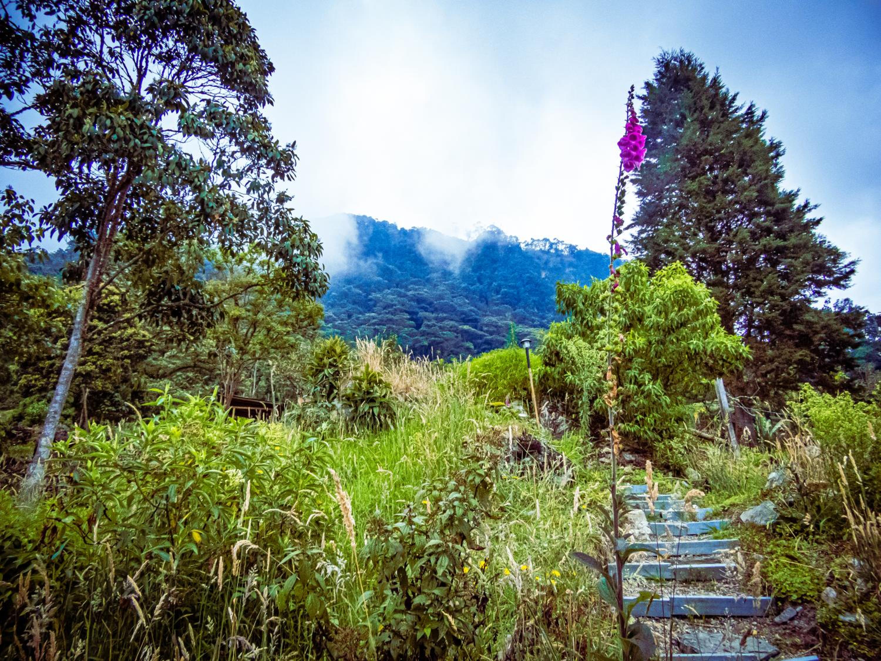 Glamping Entre Nubes