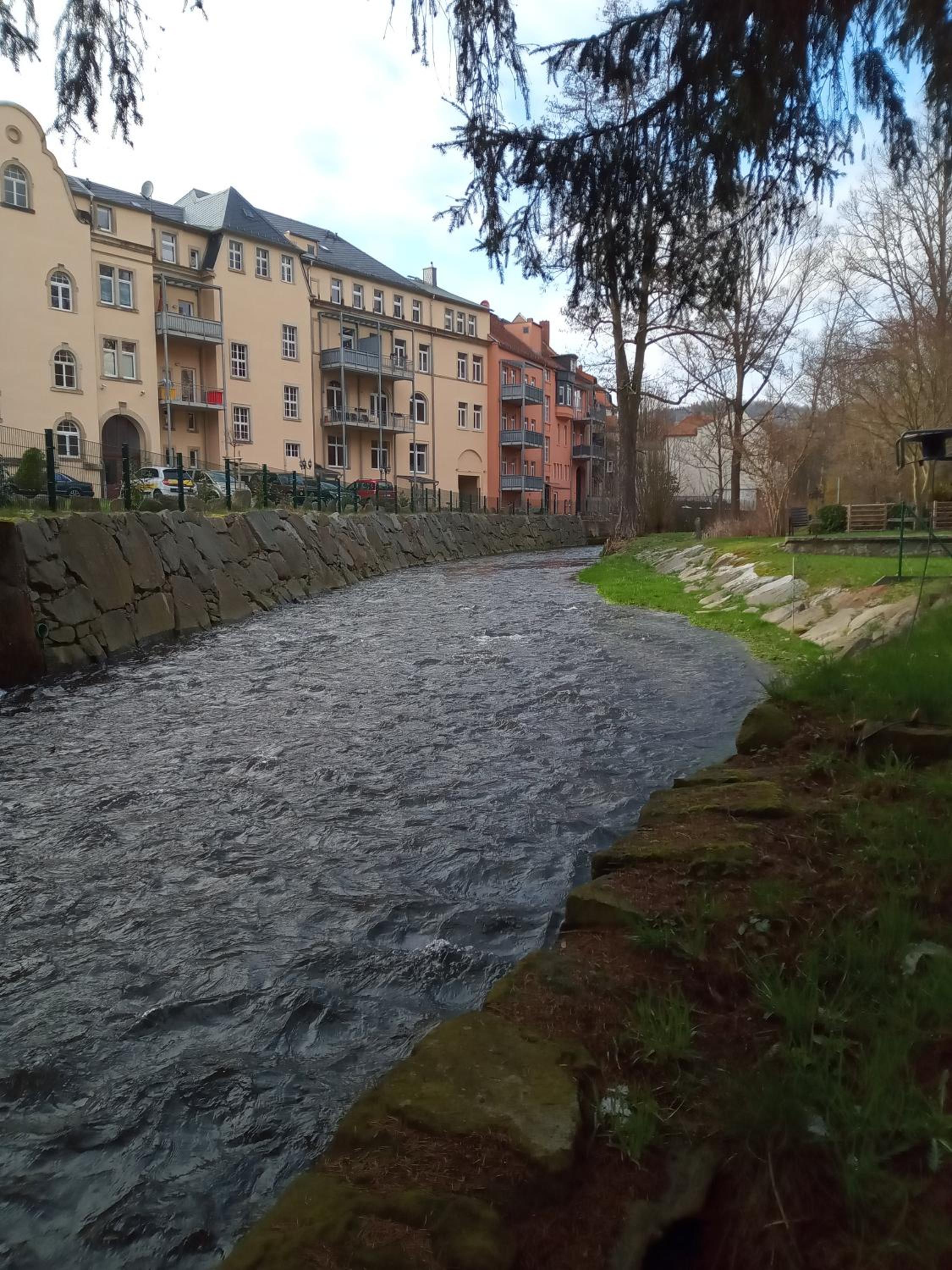 Ferienwohnung zum Sebnitzer Hirsch