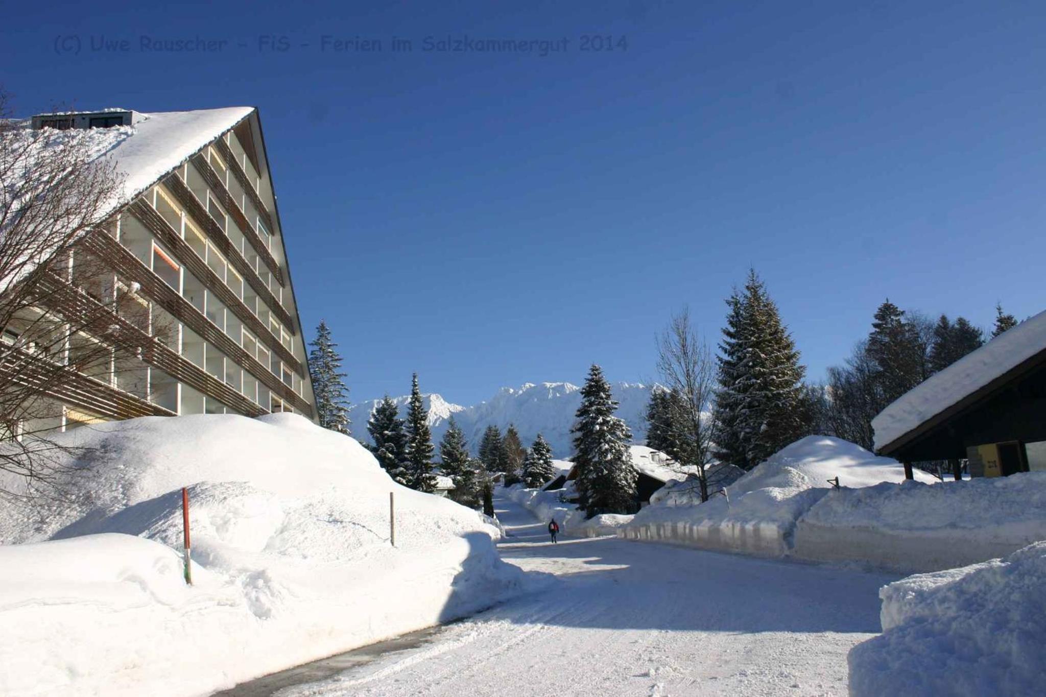 Apartment in Bad Mitterndorf - Steiermark 36988