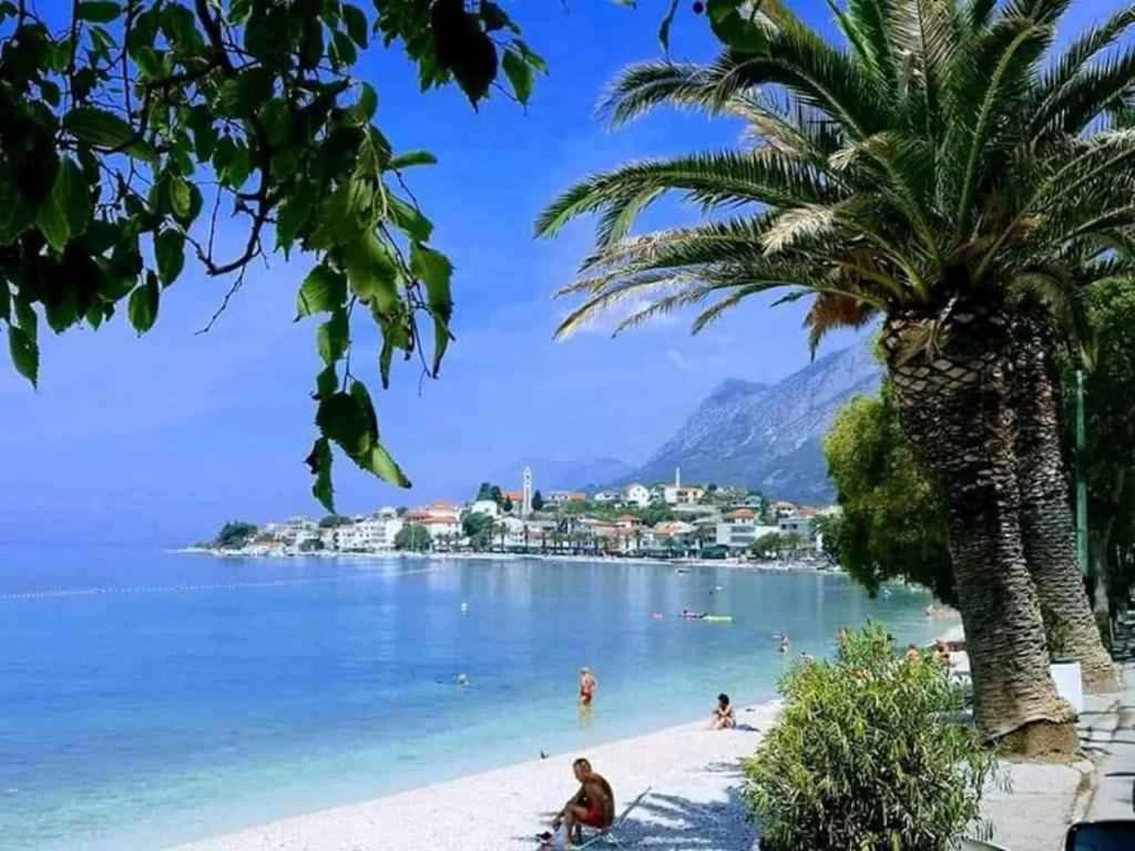 Apartment in Gradac - Makarska Riviera 43536 view 2