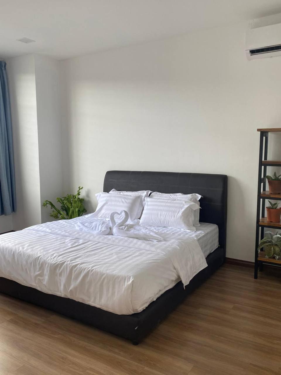 Greenery Studio, Kubot a Sentral