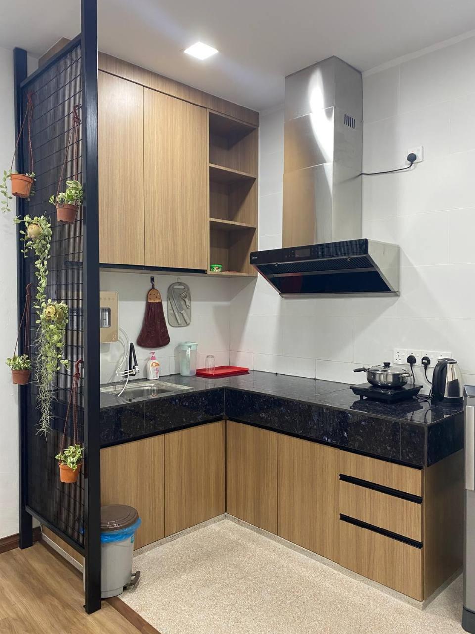 Greenery Studio, Kubot a Sentral