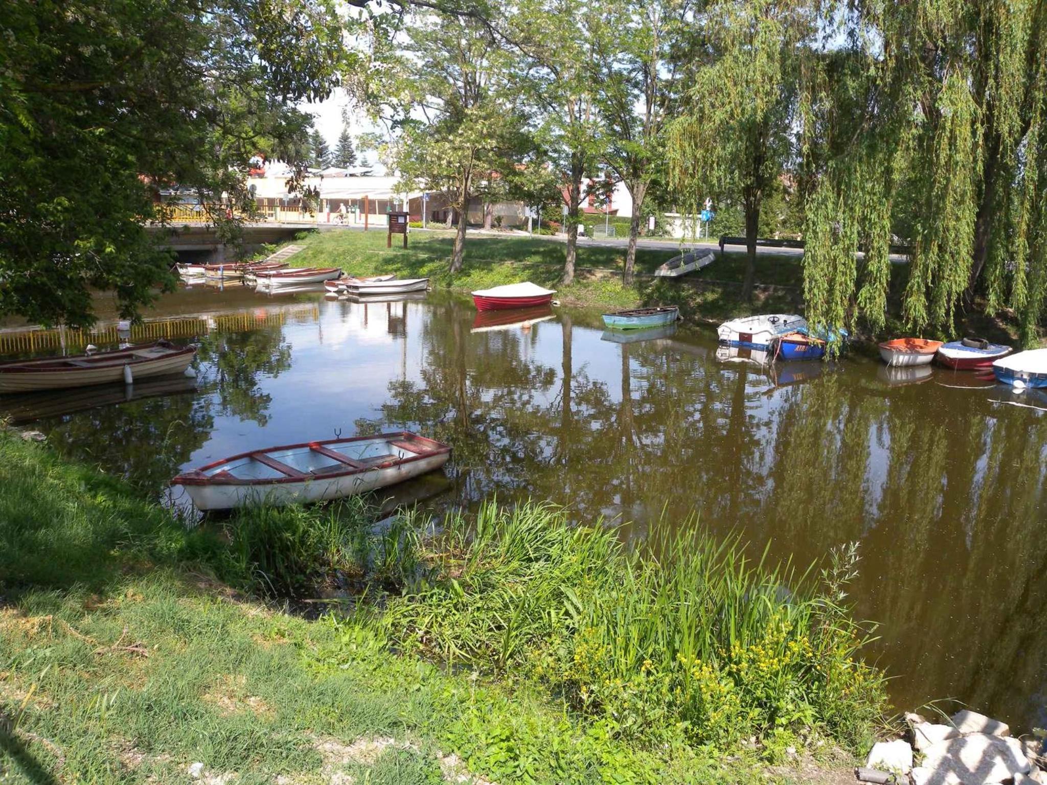 Holiday home in Balatonmariafürdo 37749 view 3