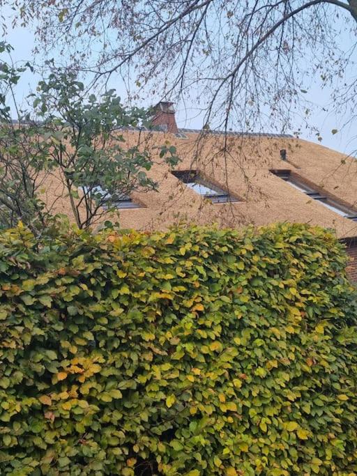 8 person apartment with heated swimmingpool Hoek van Winssen