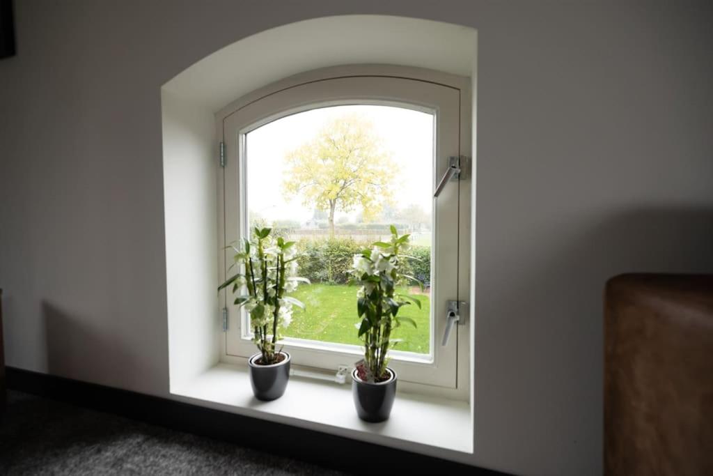 8 person apartment with heated swimmingpool Hoek van Winssen