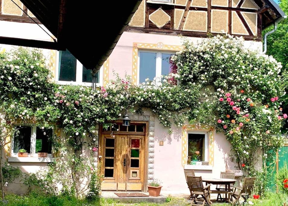 Kleine Kunstremise mit Holzofen Burg Freienfels
