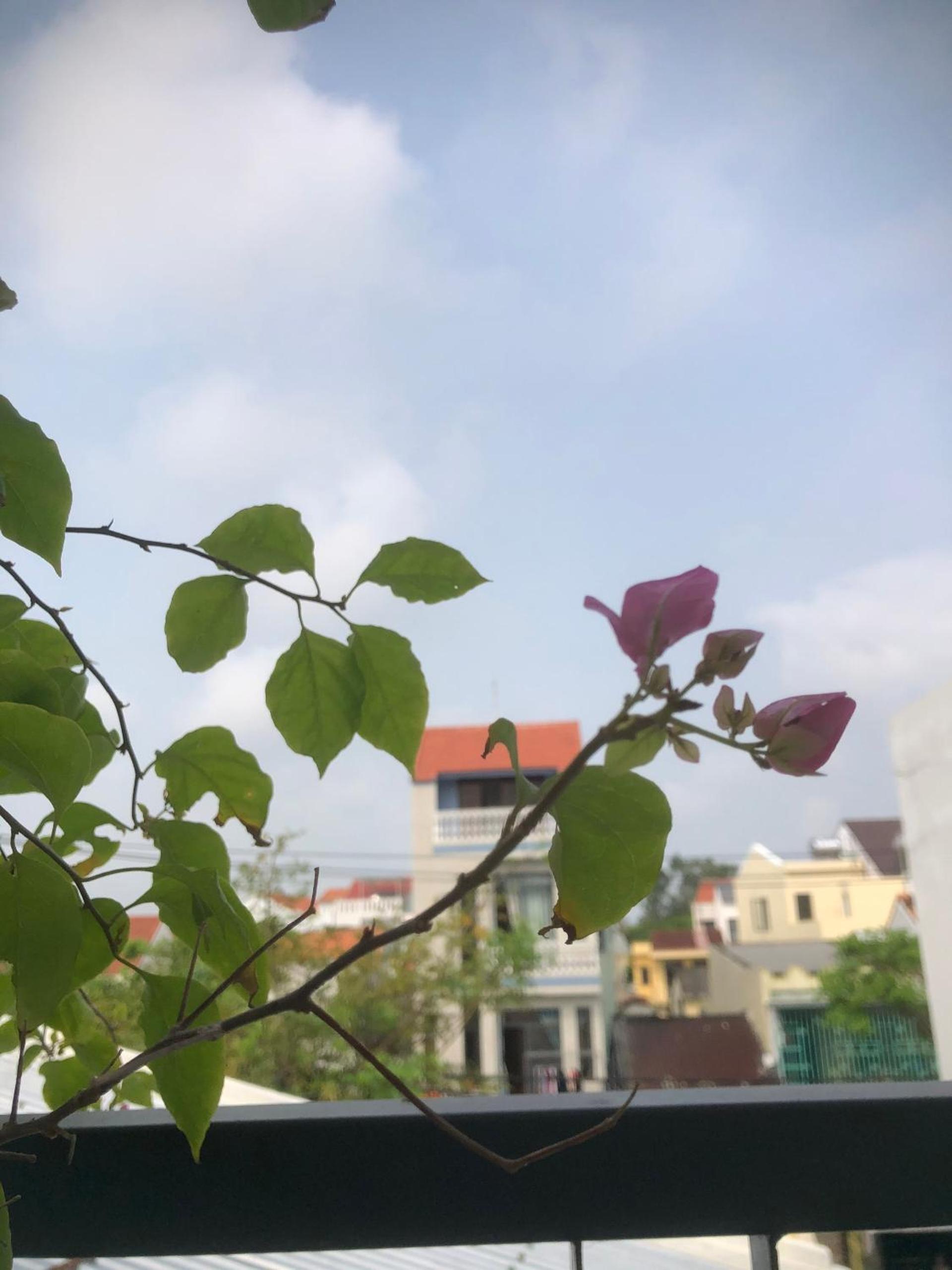 Homestay Phương House