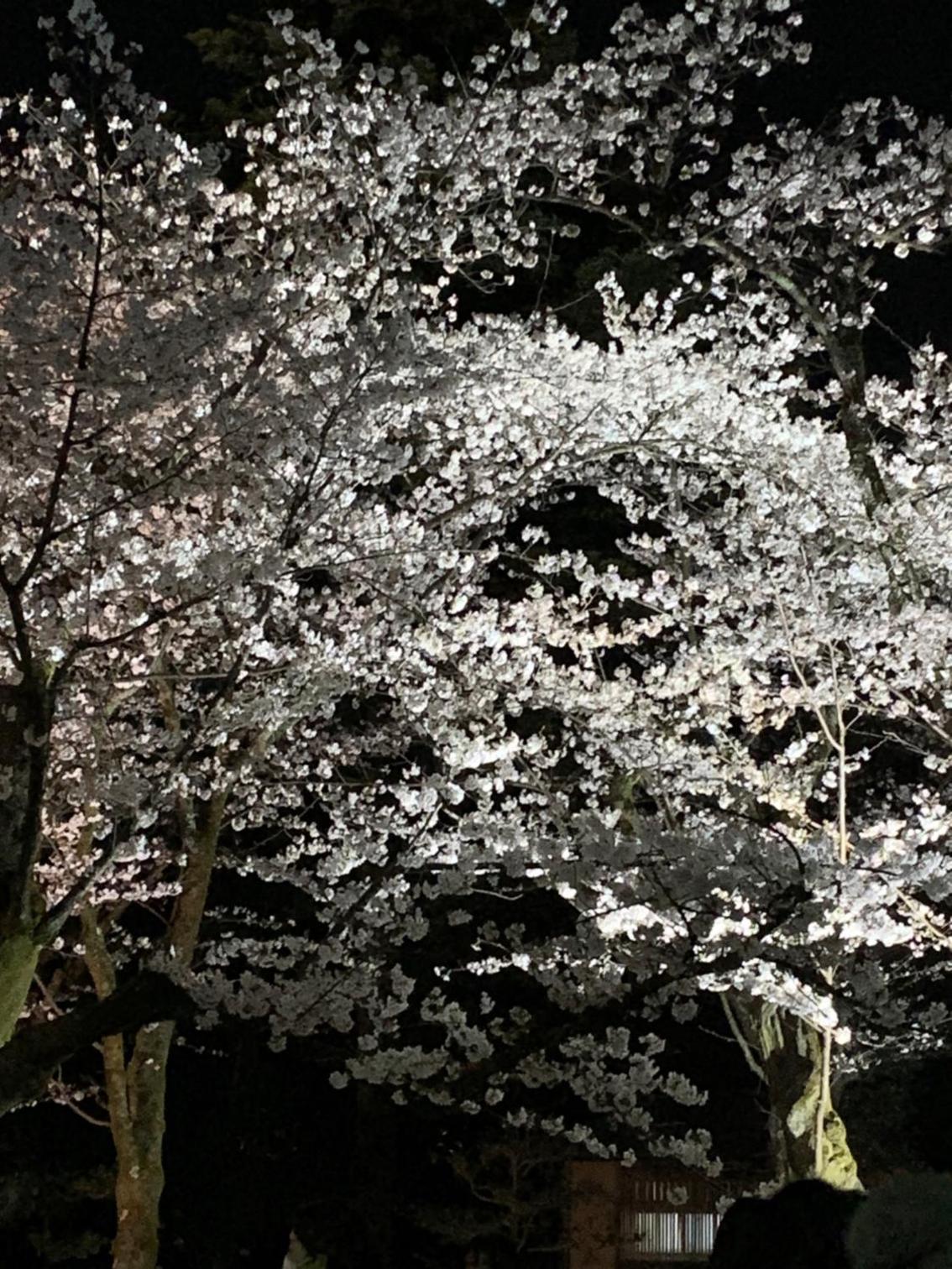 Hotel Hana Ichirin