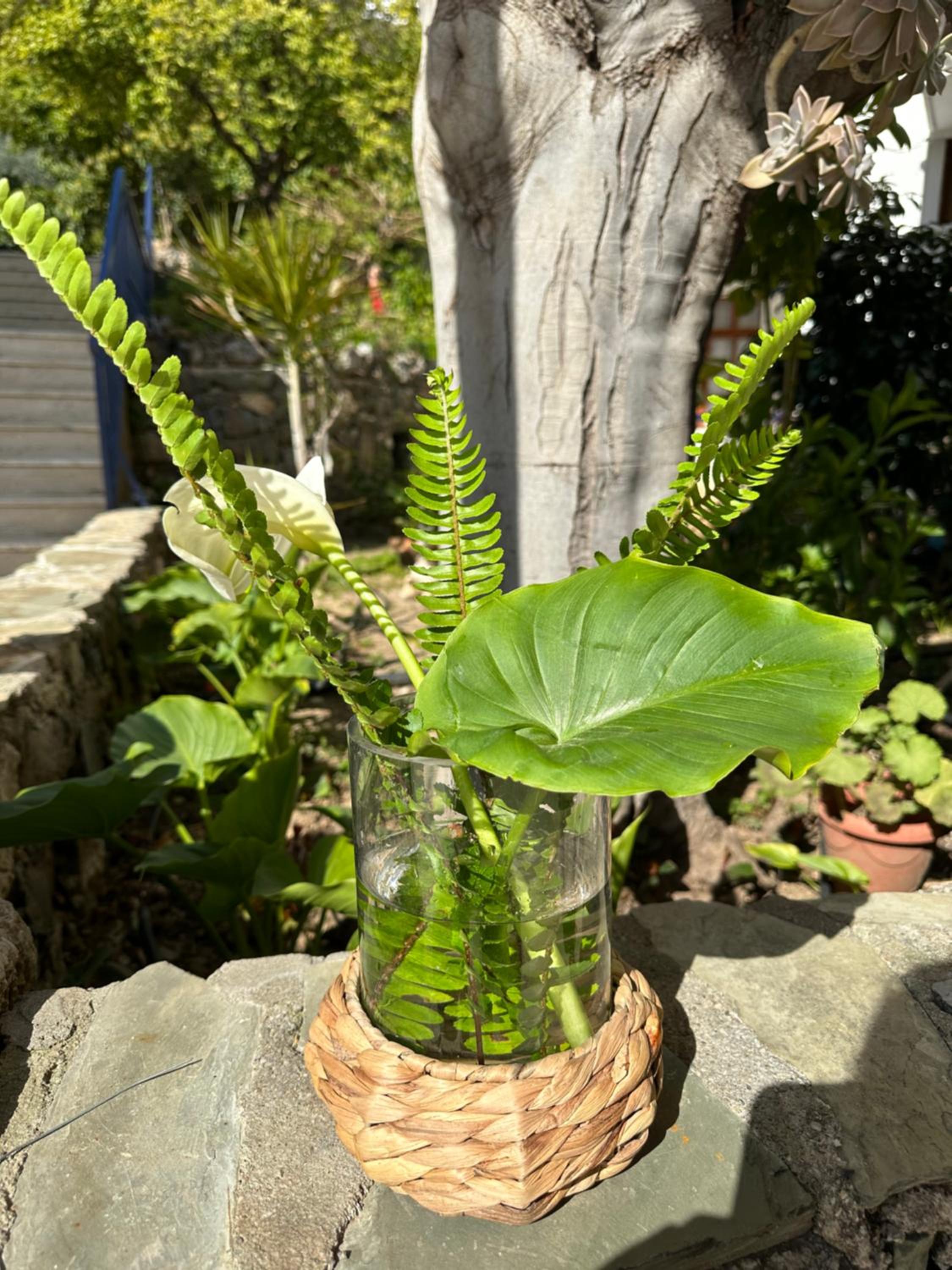 NATURELLA APART HOTEL - Image 68