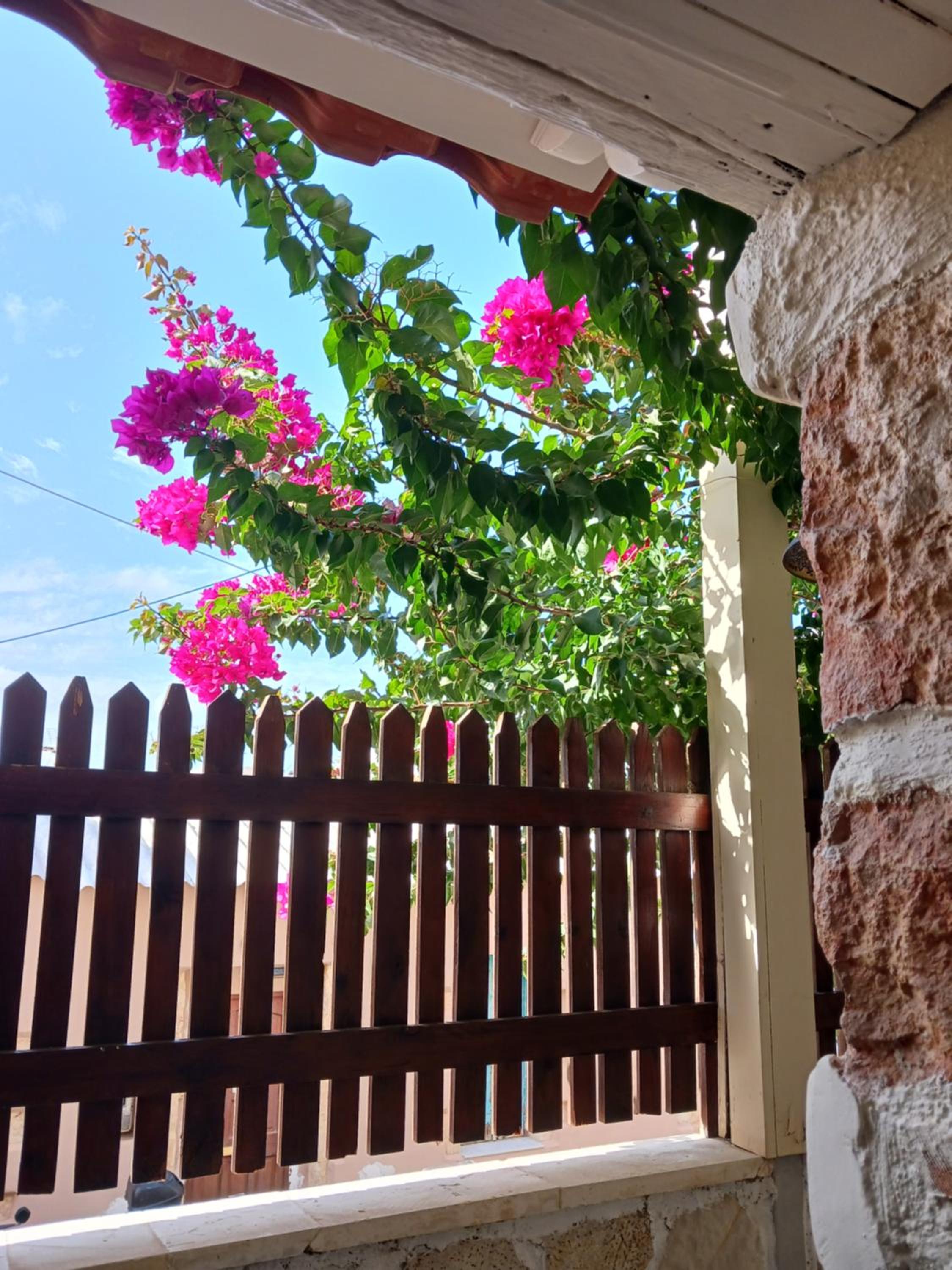 casa di nonna