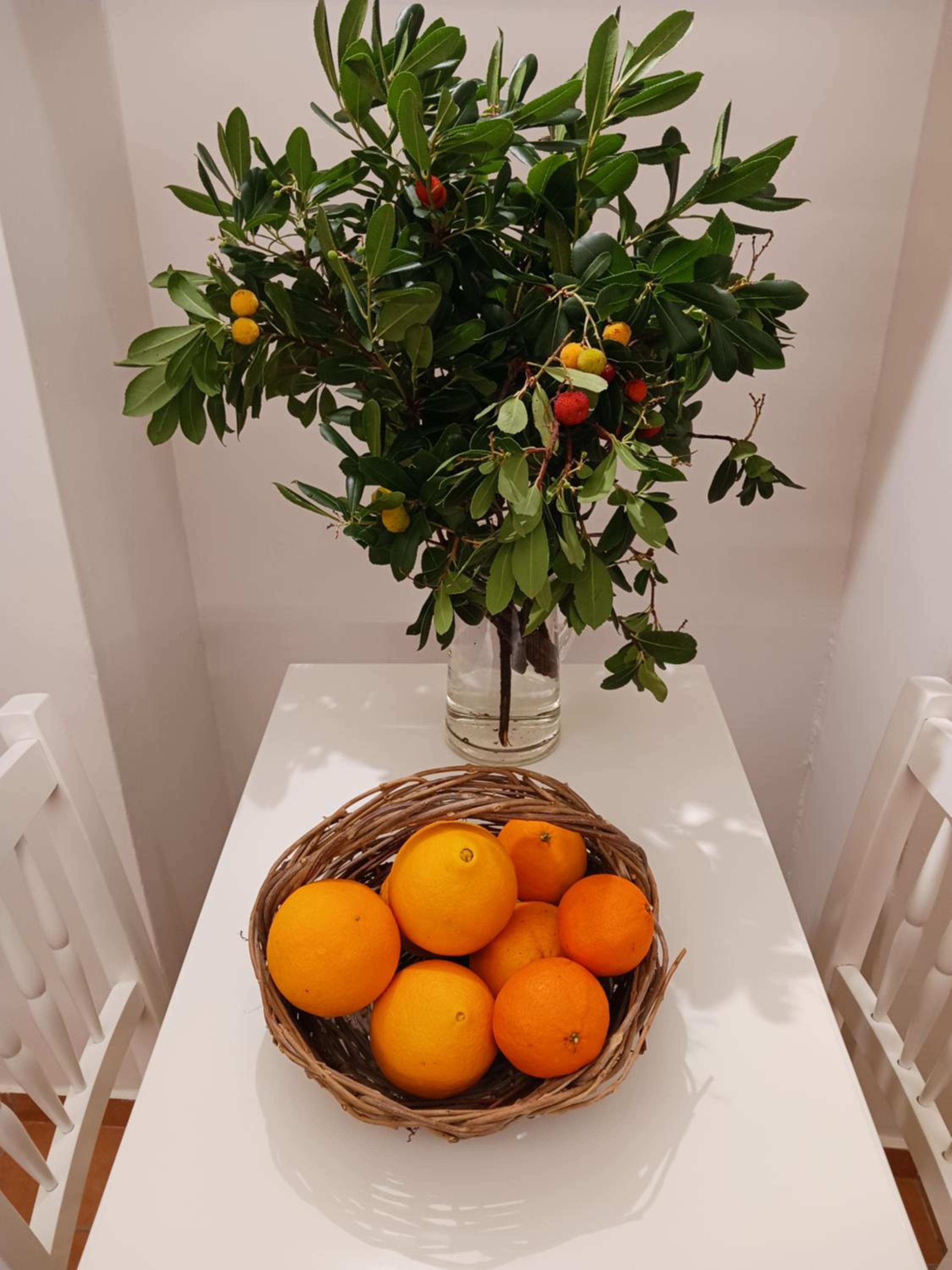 casa di nonna