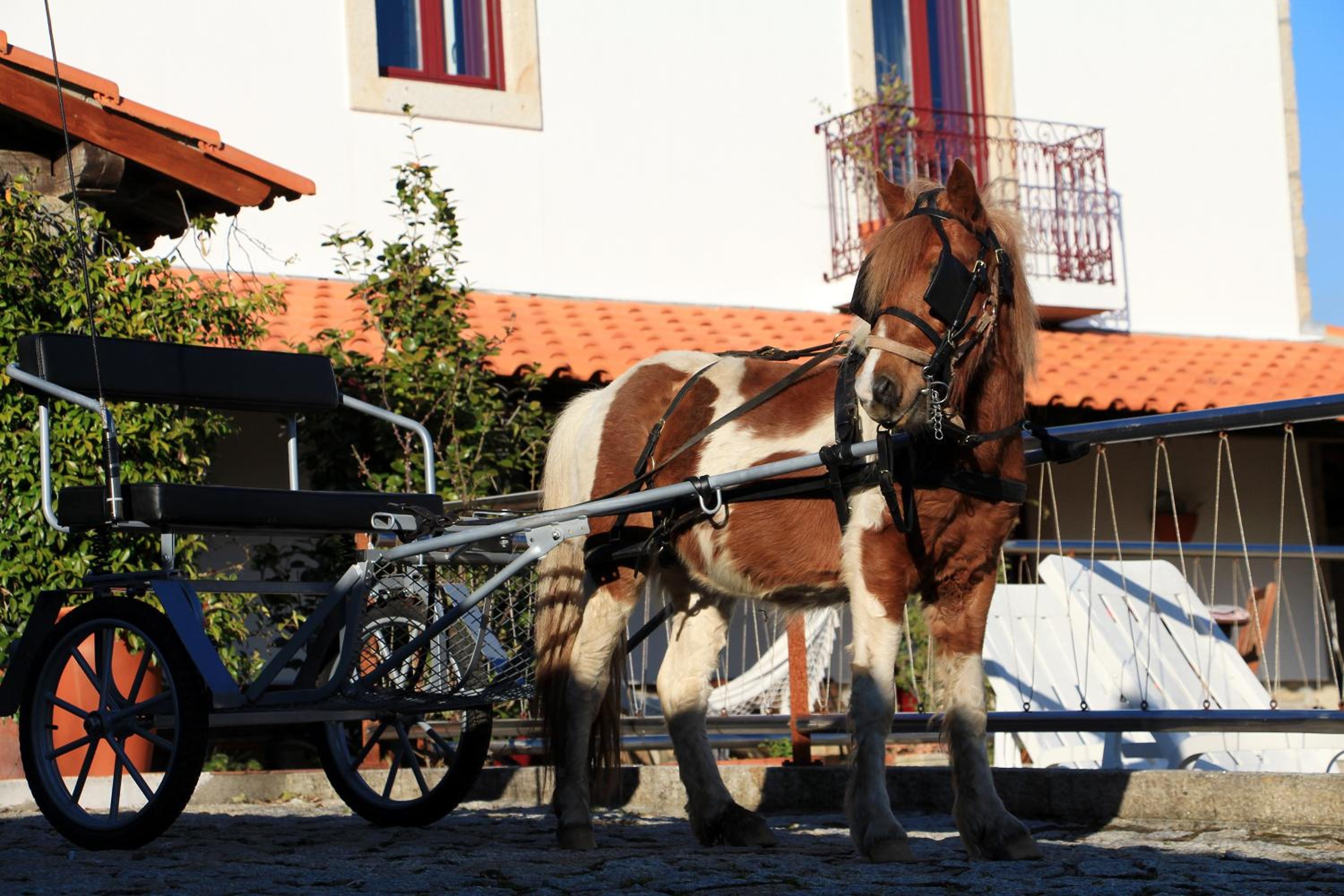 Casa Paz do Outeiro
