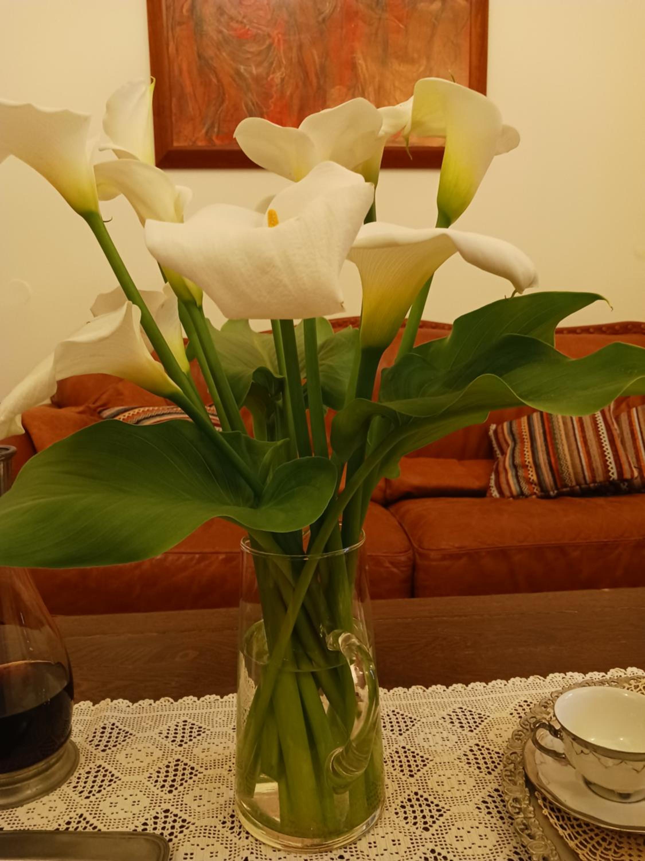 casa di nonna