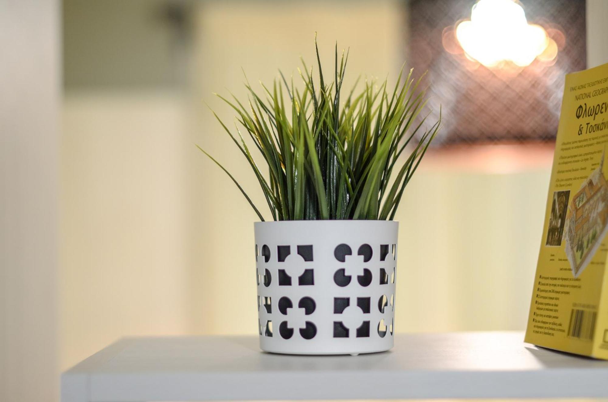Boutique Apartments in Athens