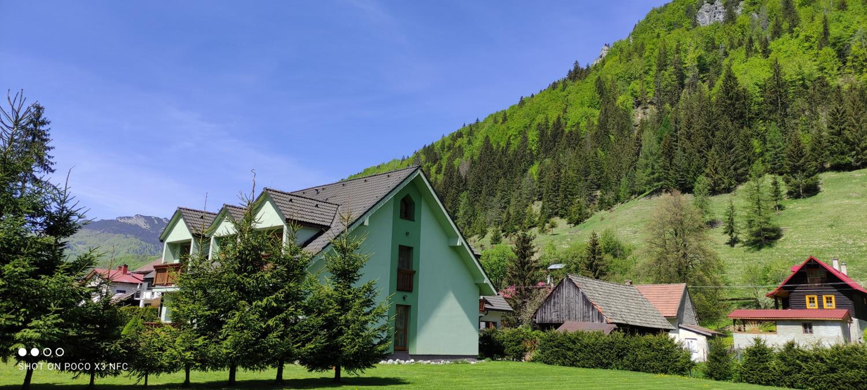Photo 46