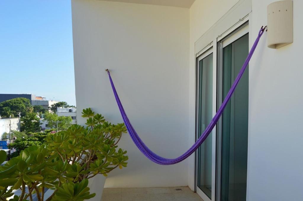 Caribe Louisa view 3