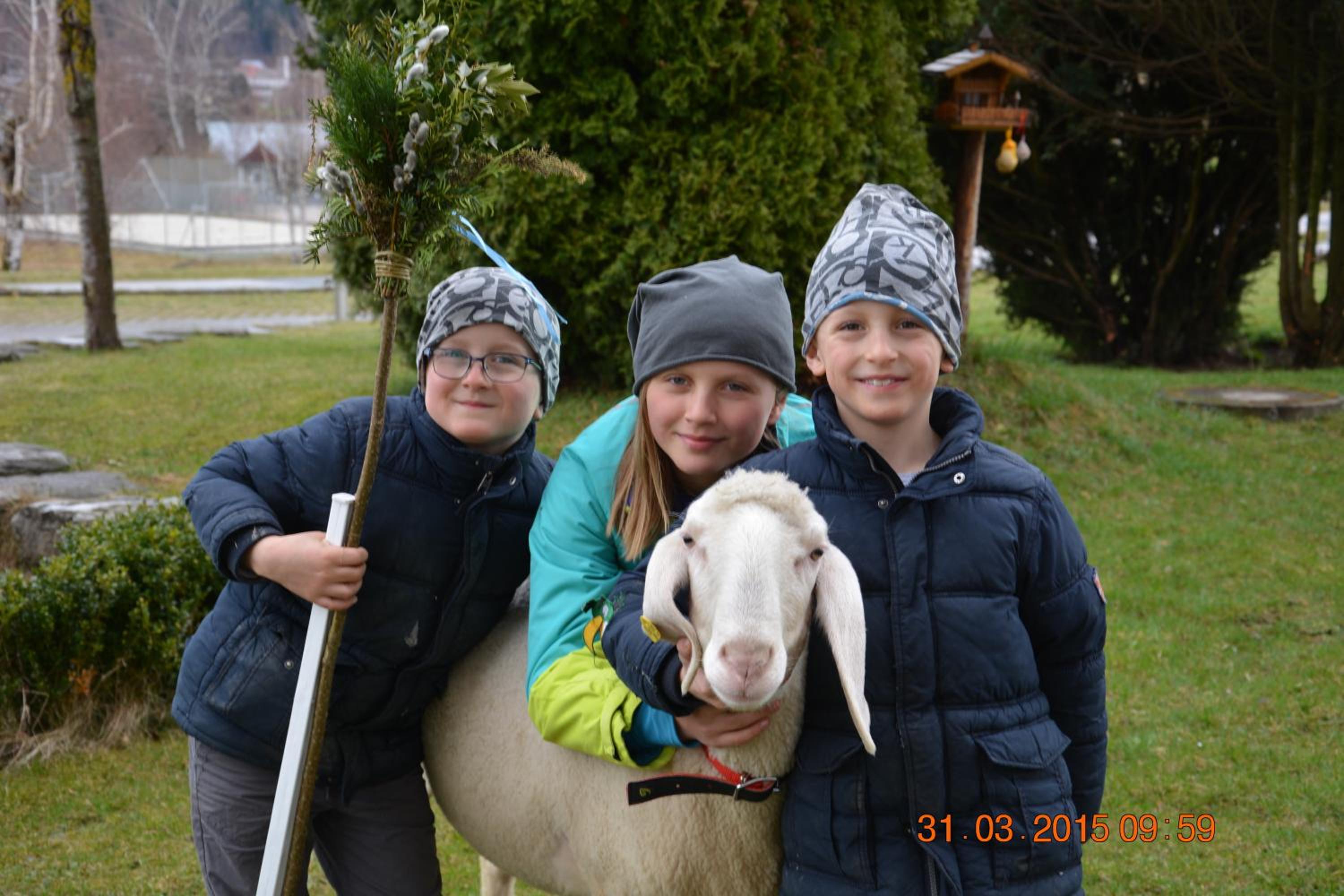 Apart-Pension Wesenauerhof