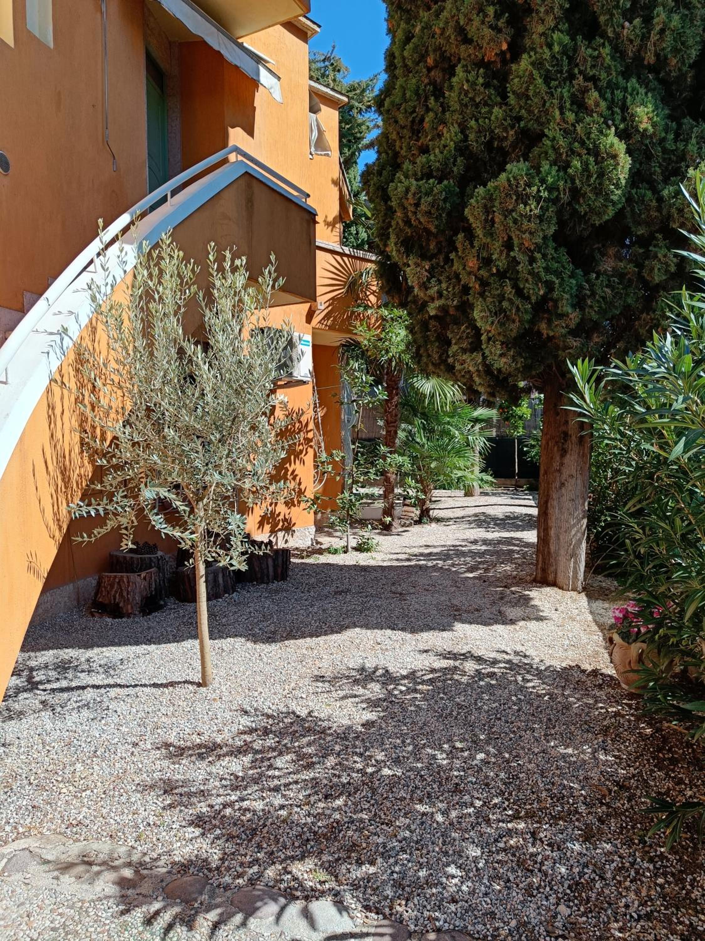 Photo 38