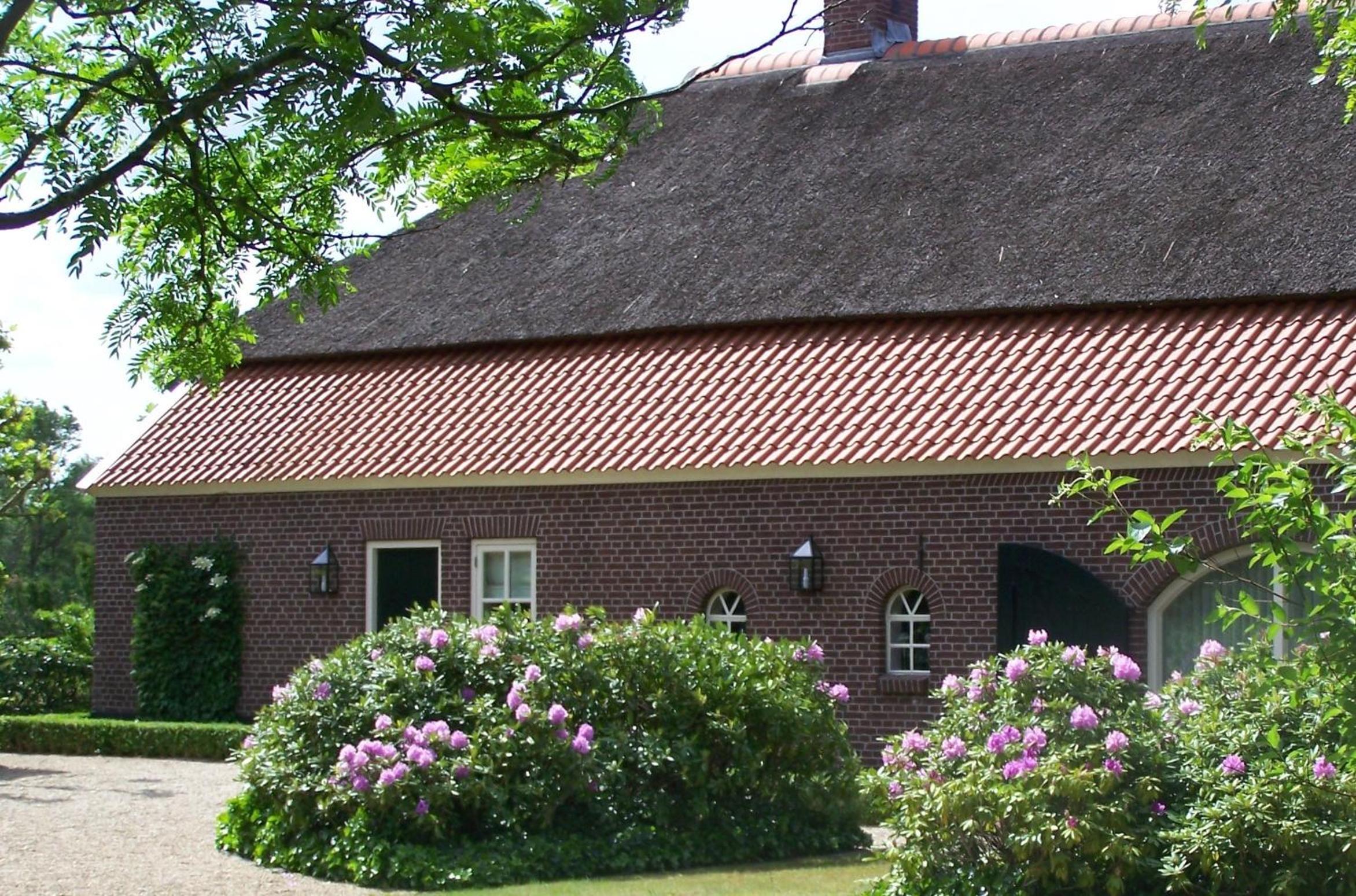 B&B Farmhouse De Loksheuvel view 4