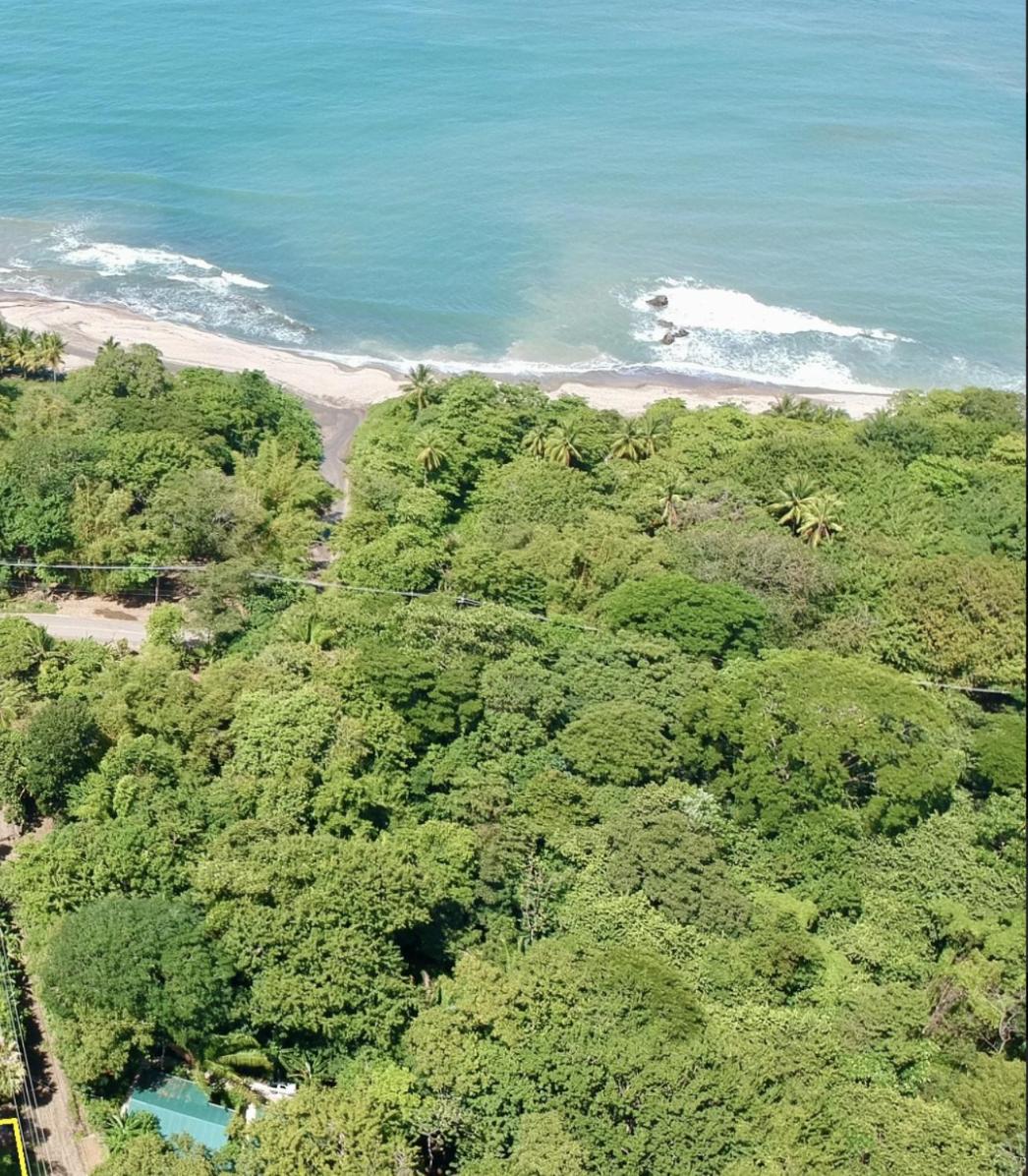 Pochote Jungle House